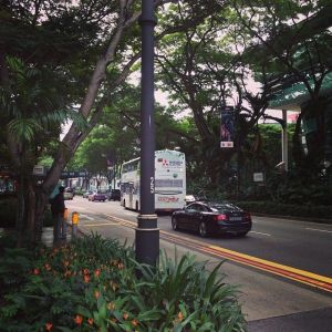 f337b09531ad50dc7bd07077b7742c0c