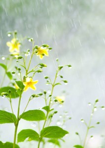 d30467e98b495366c41052402ca30618