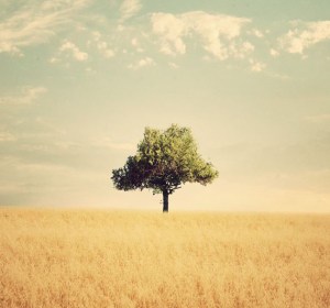 3d074d185332f19e72d8879a2f86771b