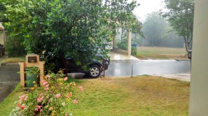 IMG_20151107_112942_HDR