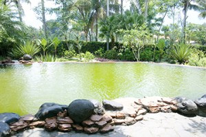 Goa Maria Kerep resized