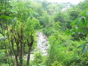 Goa Maria Kerep resized2