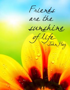 02875a089c27417590ac078aae852167