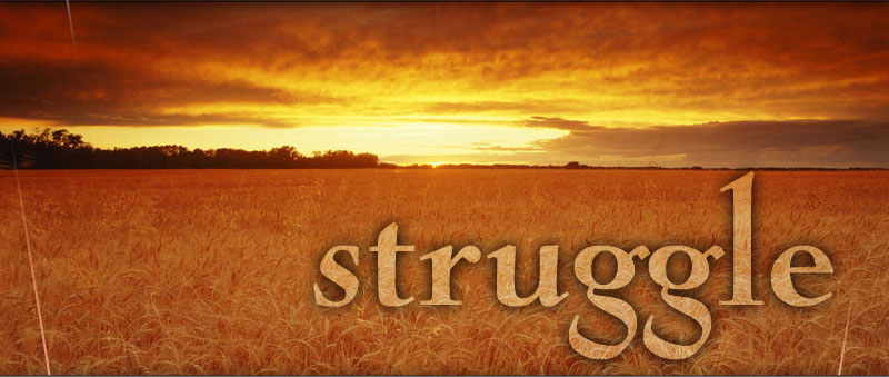 image1 struggle